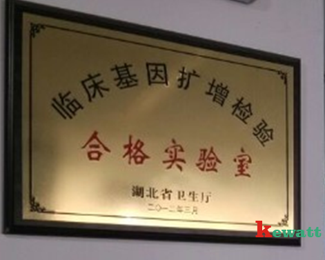 臨床基因擴增實驗室認證資質