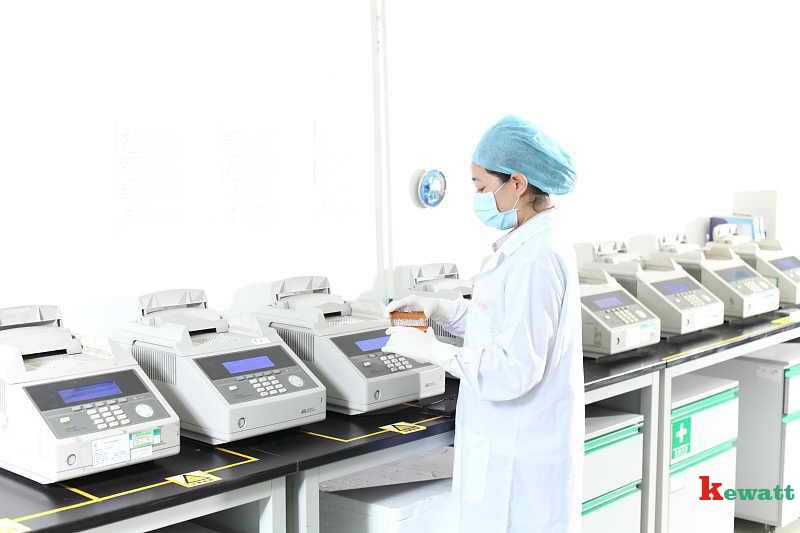 分子病理實驗室-定性PCR擴增區